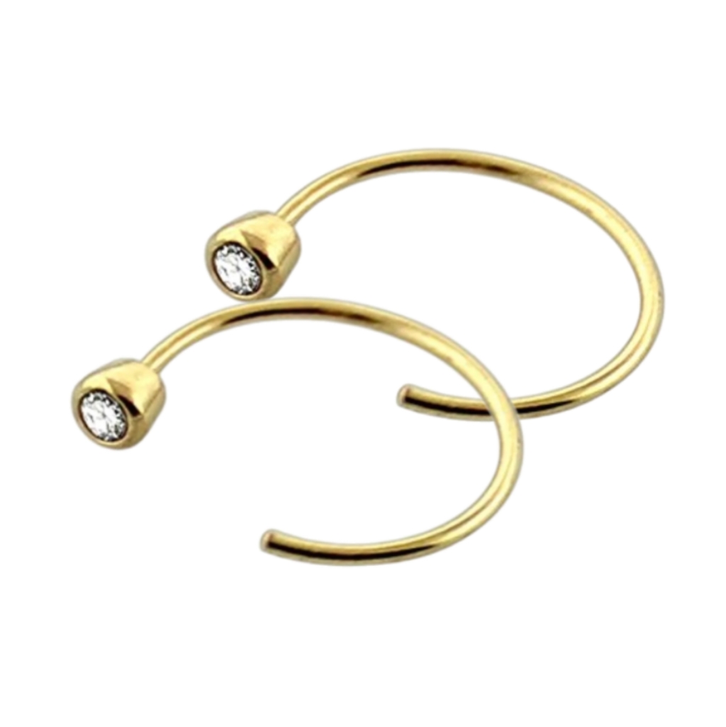 2 Nose Rings